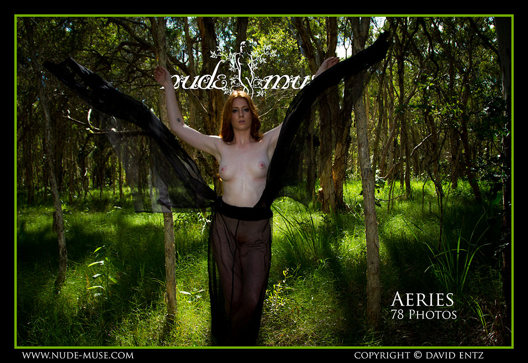 aeries raven dress