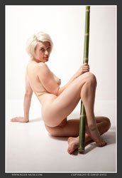 anita bamboo pole