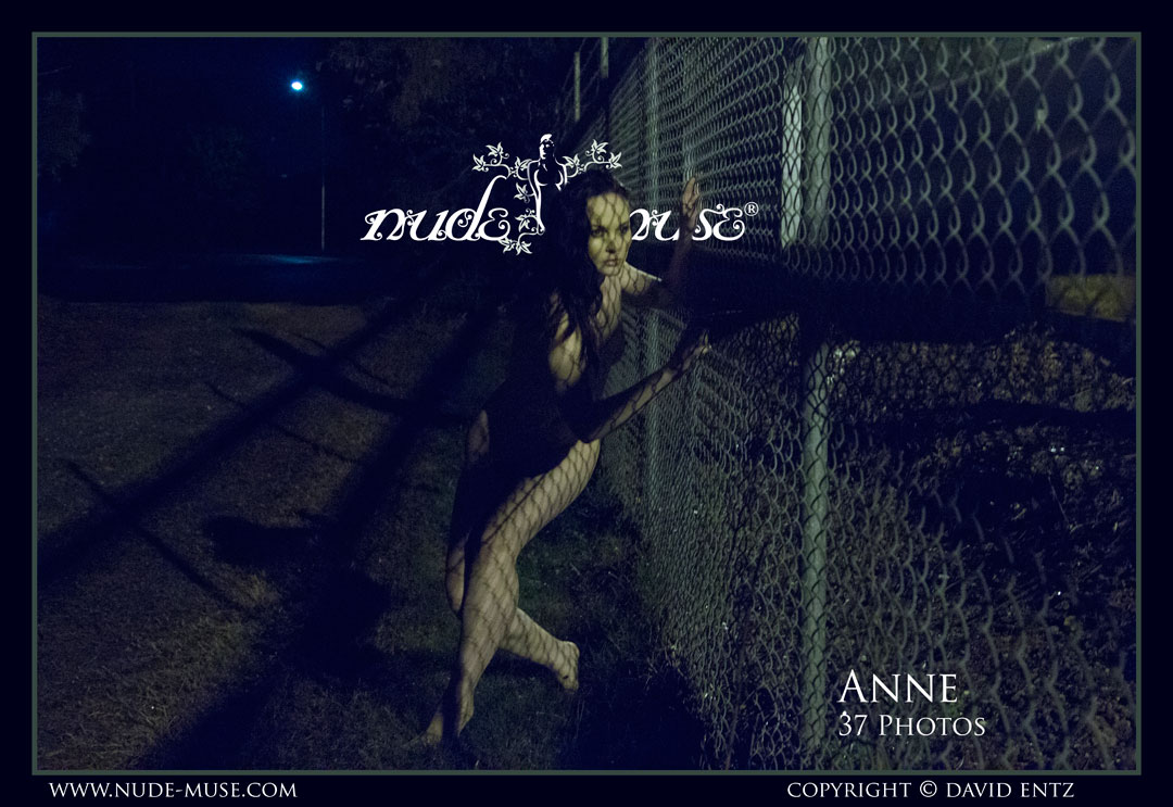 anne night prowler