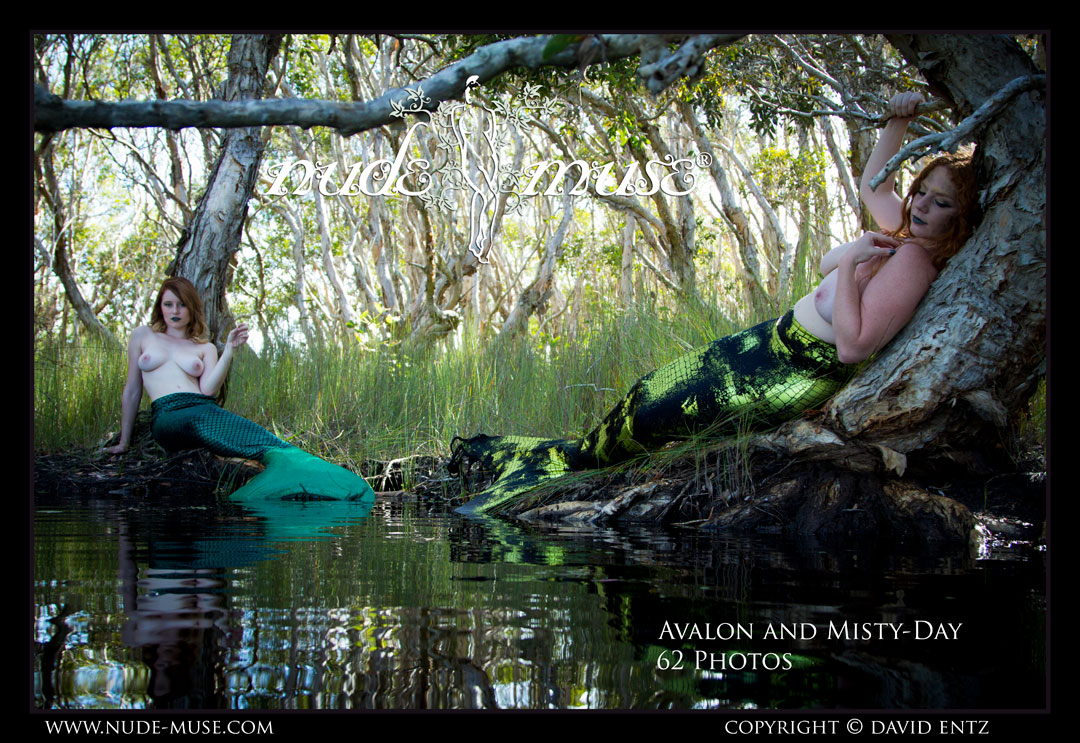 avalon and misty-day swamp mermaids