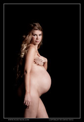 dannii pregnancy nude art