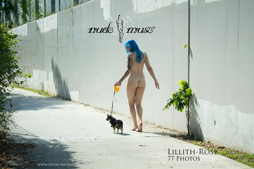 lillith-rose walk the dog