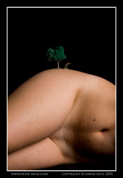 joyce landscape nude