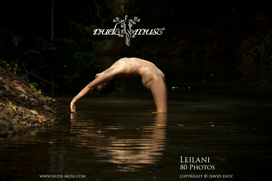 leilani natures swimwear