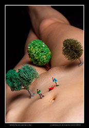 lou minature landscapes